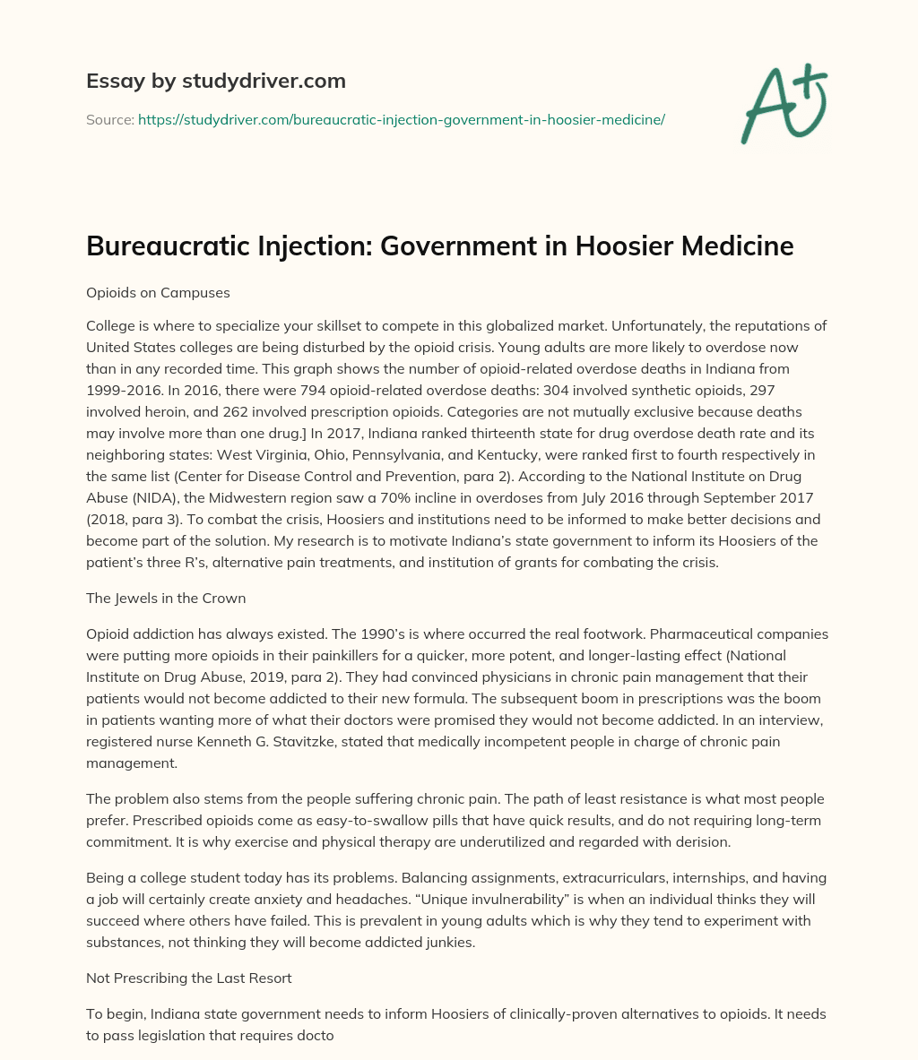 Bureaucratic Injection: Government in Hoosier Medicine essay