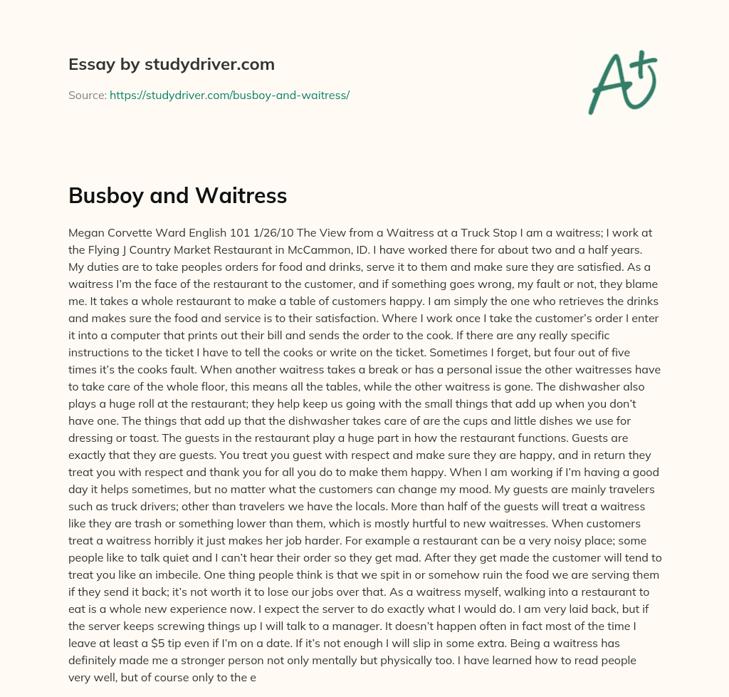 Busboy and Waitress essay