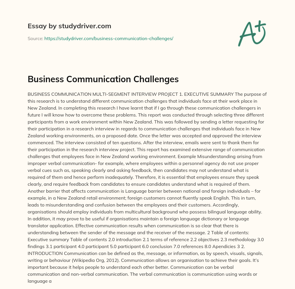 Business Communication Challenges essay