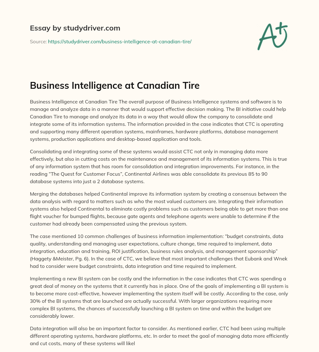 Business Intelligence at Canadian Tire essay
