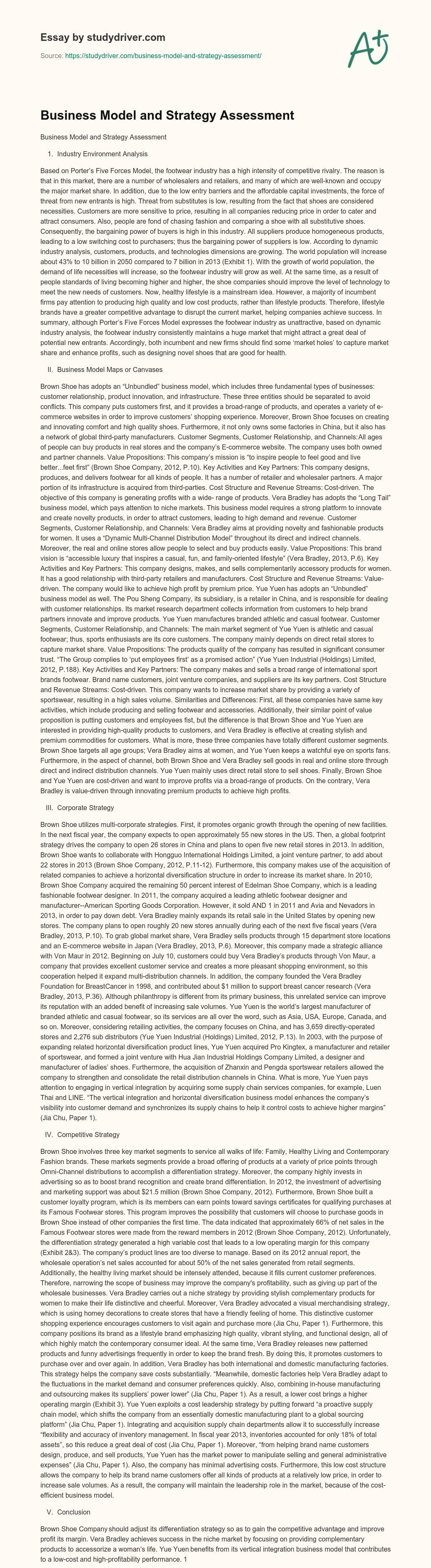 Business Model and Strategy Assessment essay