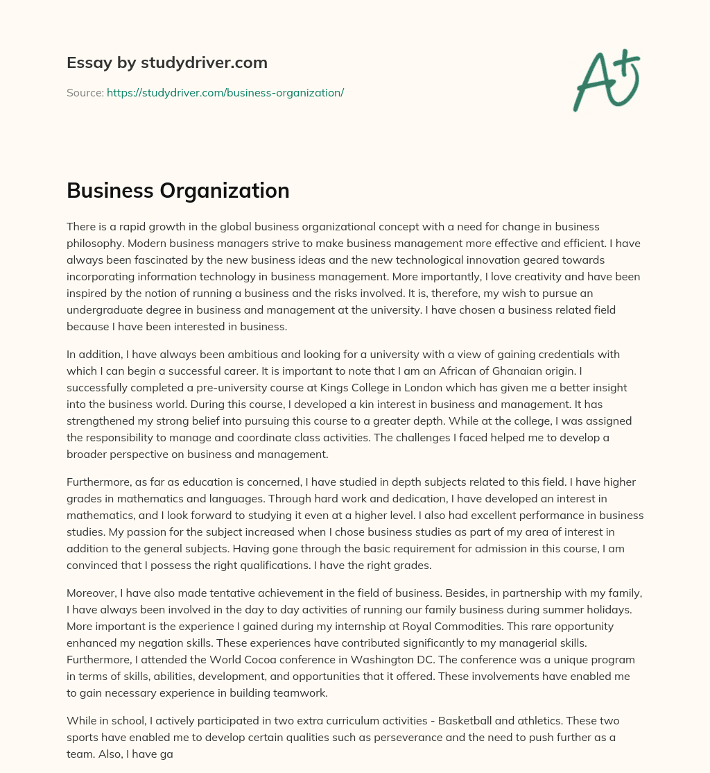Business Organization essay