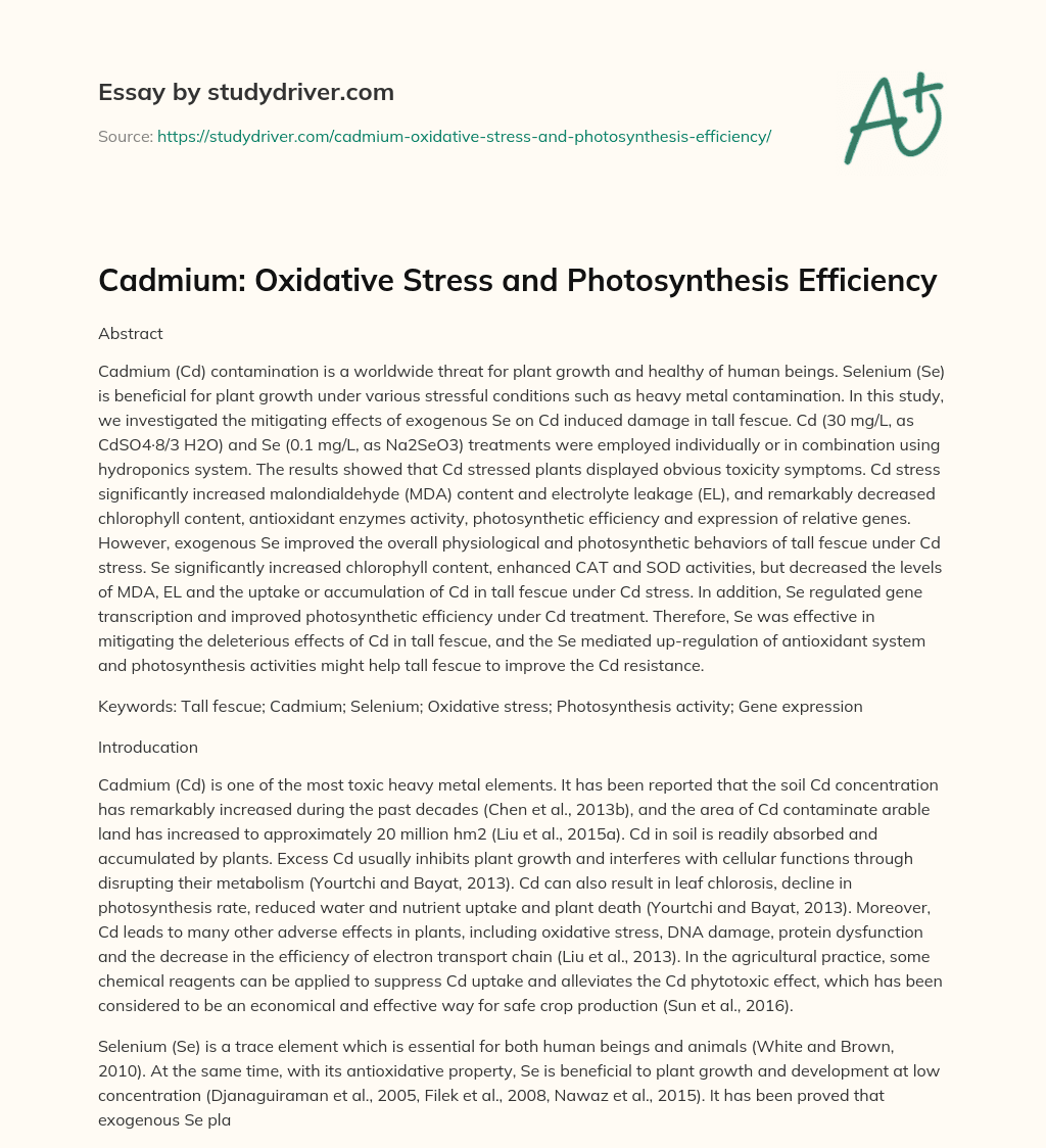 Cadmium: Oxidative Stress and Photosynthesis Efficiency essay