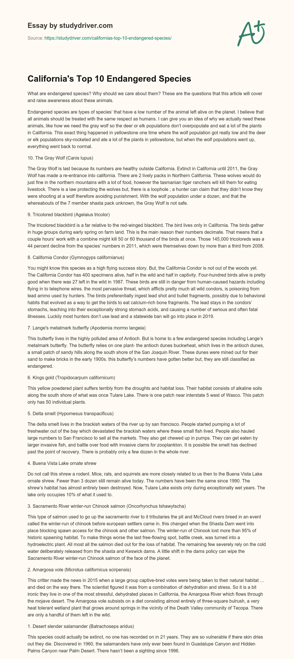 California’s Top 10 Endangered Species essay
