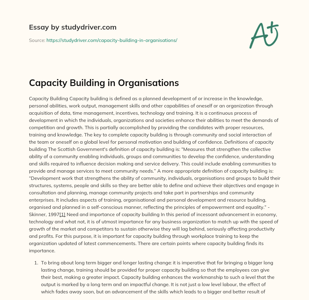 Capacity Building in Organisations essay