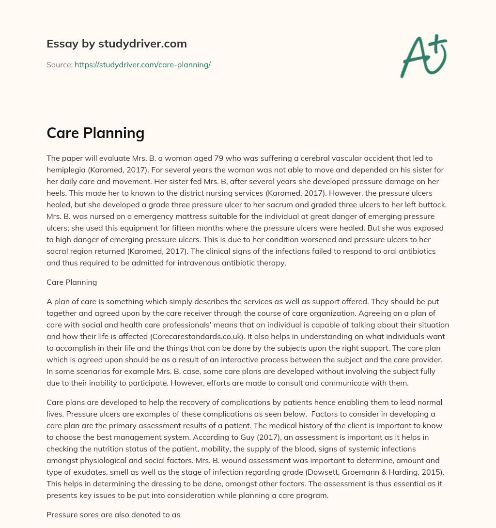 Care Planning essay