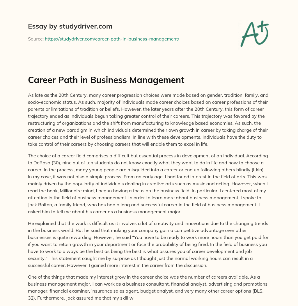 Career Path in Business Management essay