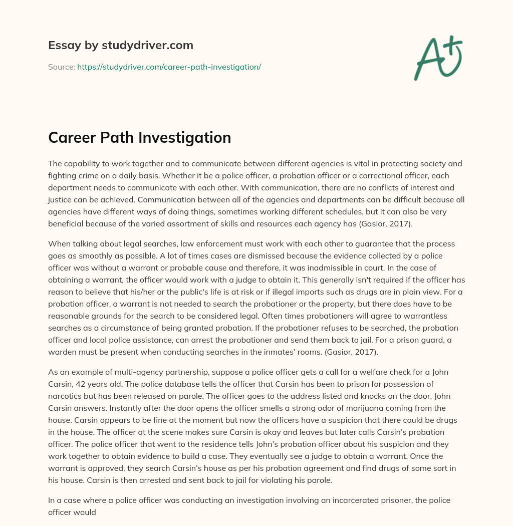 Career Path Investigation essay