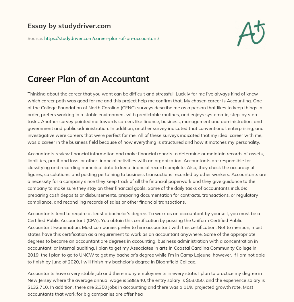 Career Plan of an Accountant essay