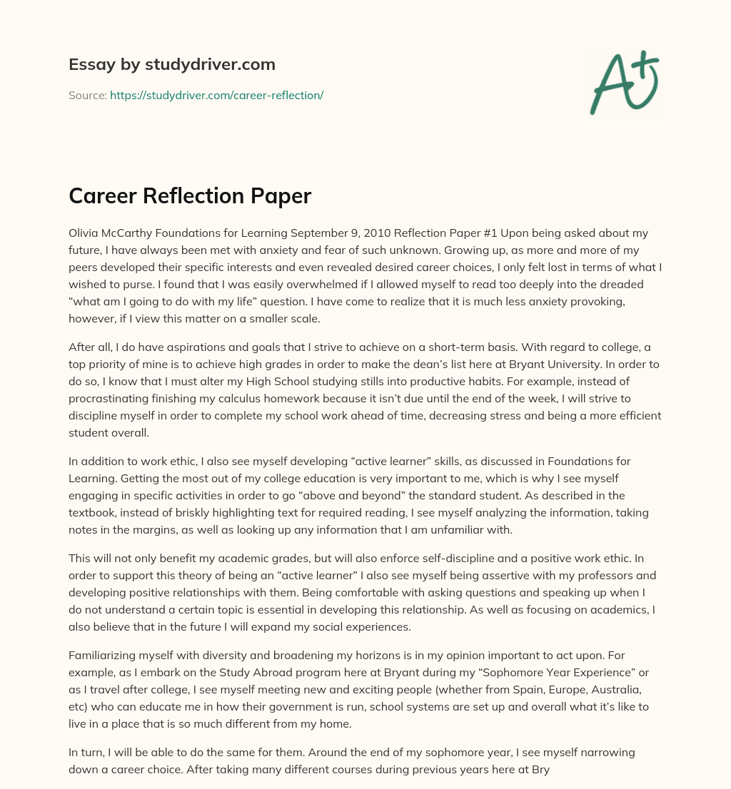 Career Reflection Paper Free Essay Example StudyDriver
