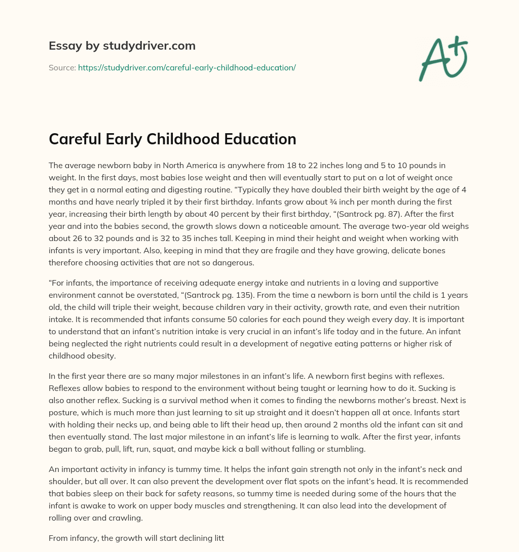 Careful Early Childhood Education essay