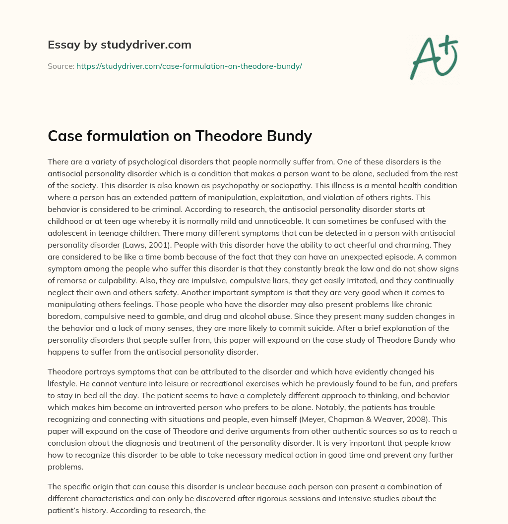 Case Formulation on Theodore Bundy essay