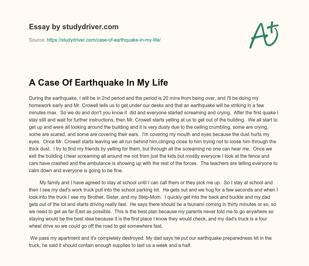 A Case of Earthquake in my Life essay