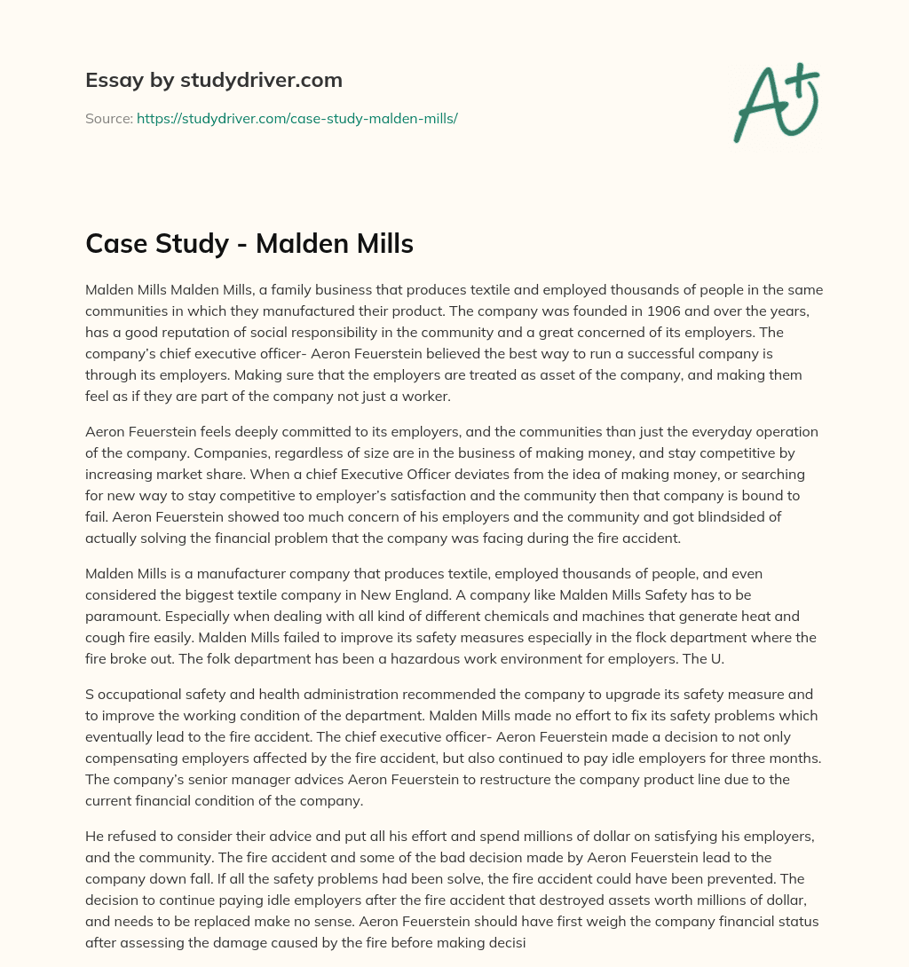 Case Study – Malden Mills essay