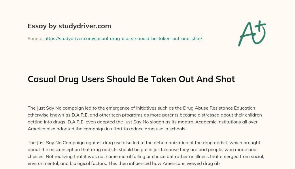Casual Drug Users should be Taken out and Shot essay