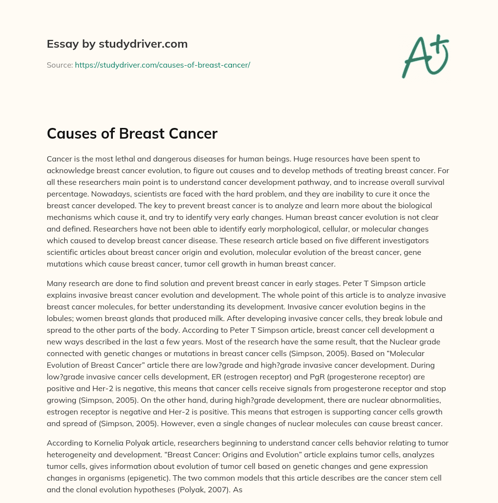 Causes of Breast Cancer essay