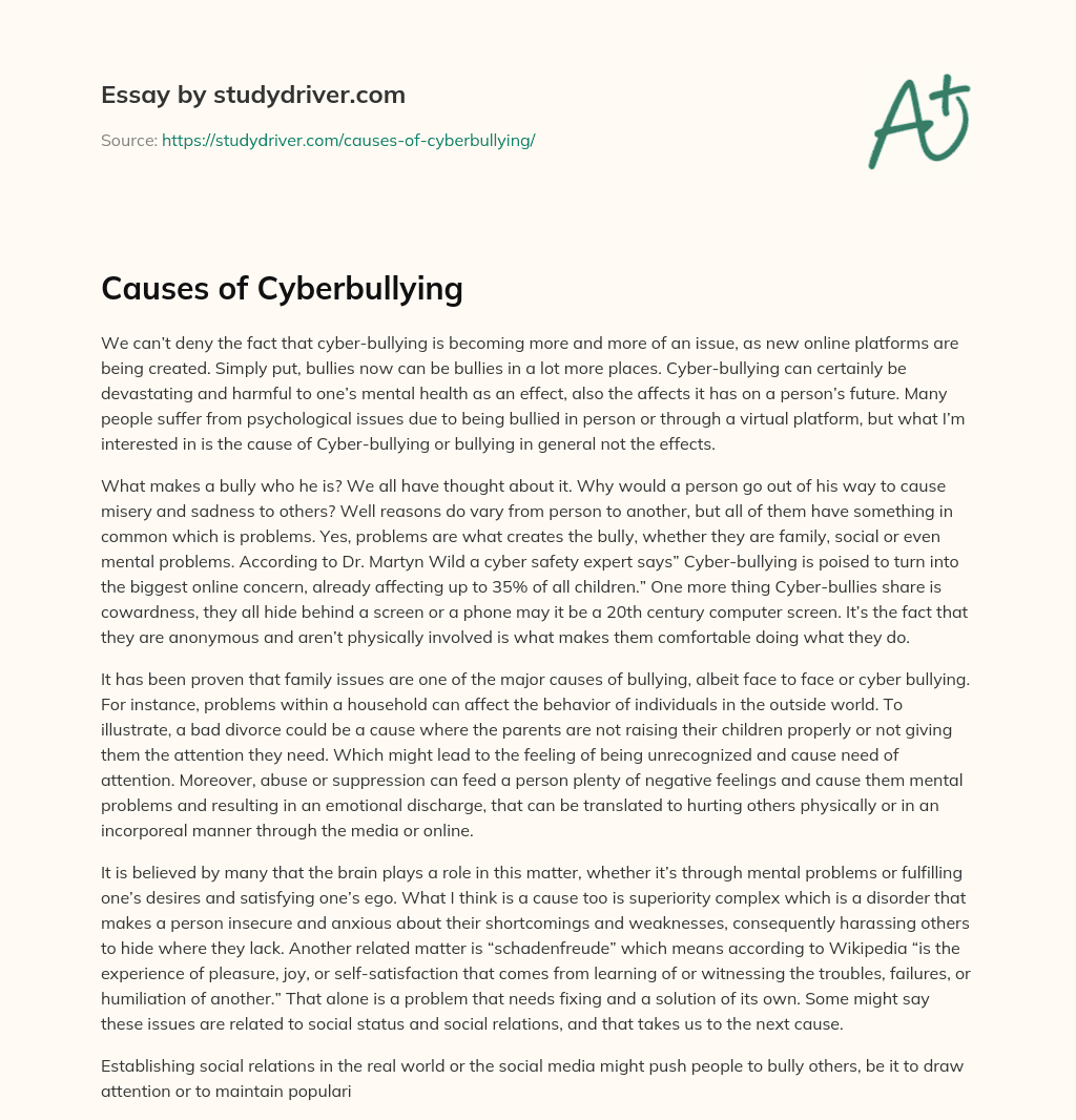 Causes of Cyberbullying essay