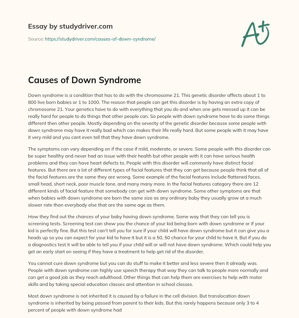 Causes of down Syndrome essay