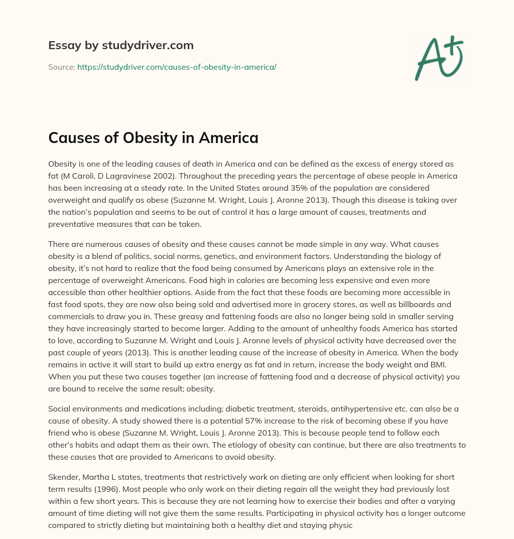 Causes of Obesity in America essay