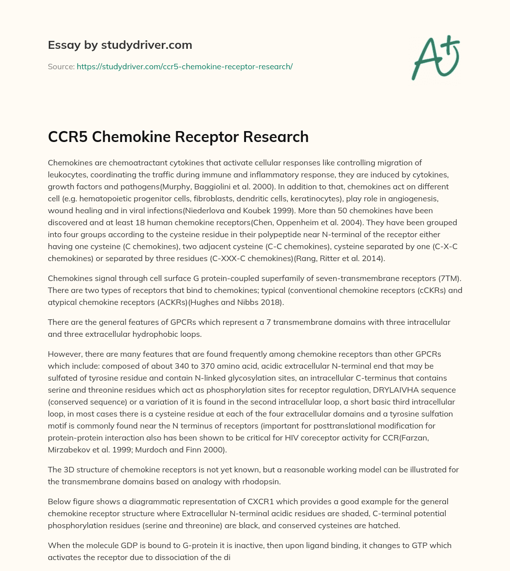 CCR5 Chemokine Receptor Research essay