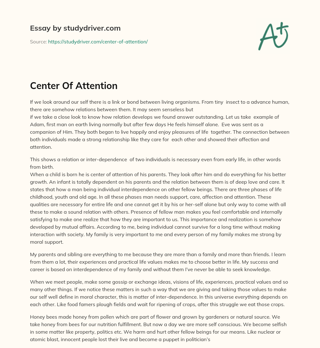 Center of Attention essay