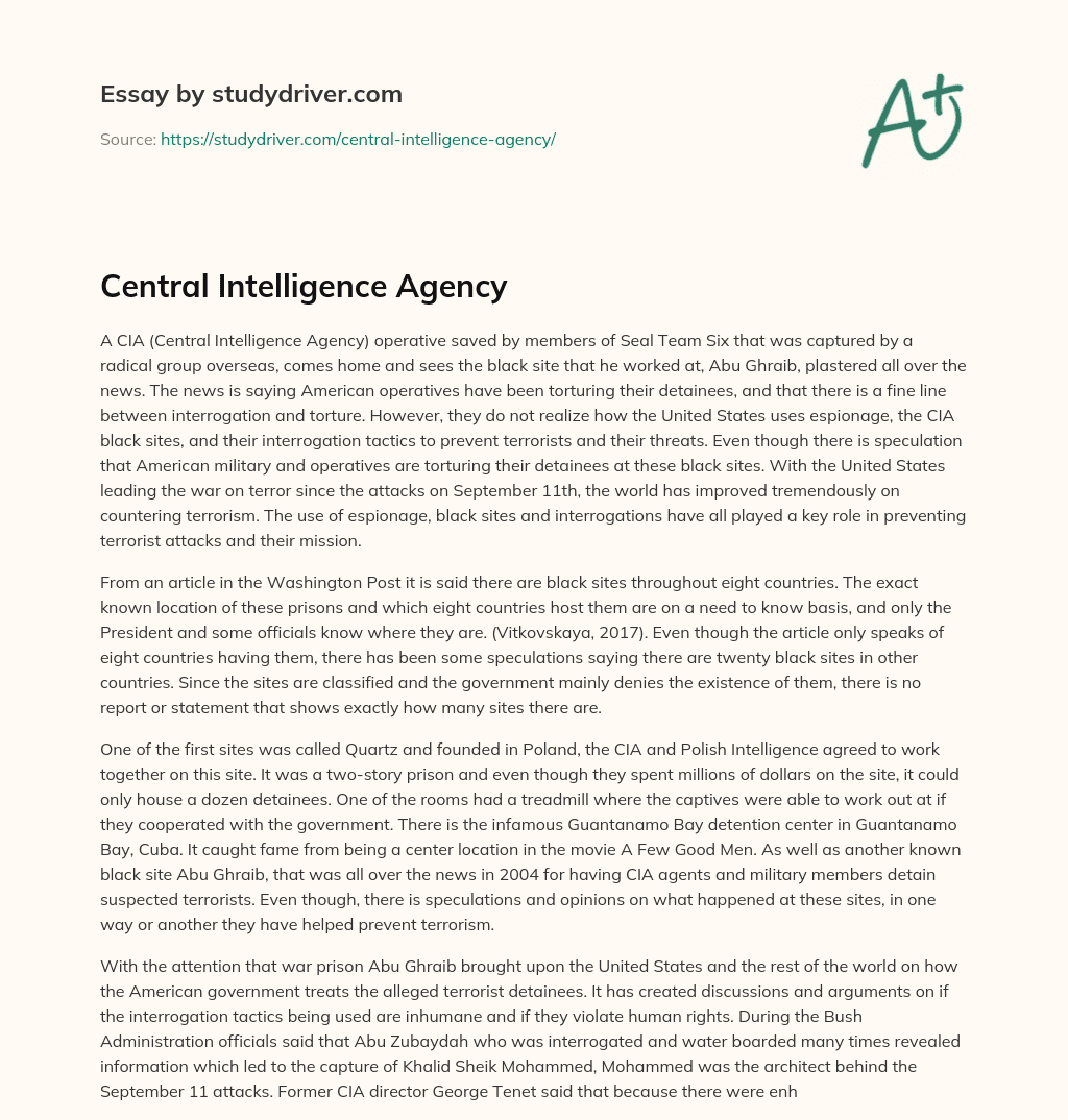 Central Intelligence Agency essay