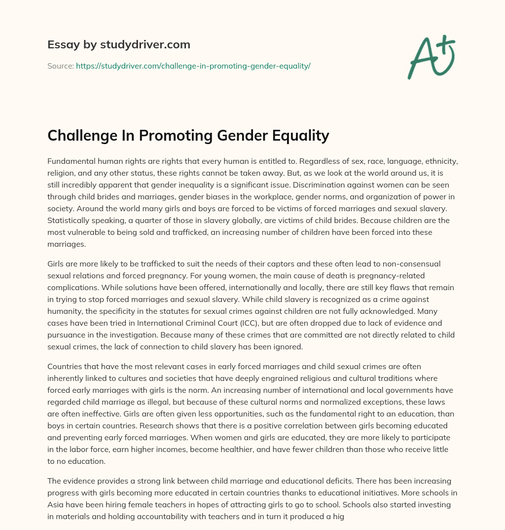 Challenge in Promoting Gender Equality essay