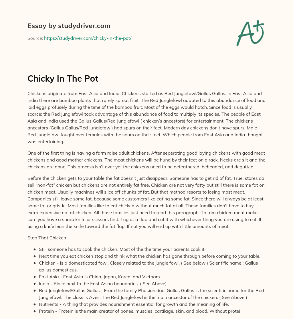 Chicky in the Pot essay