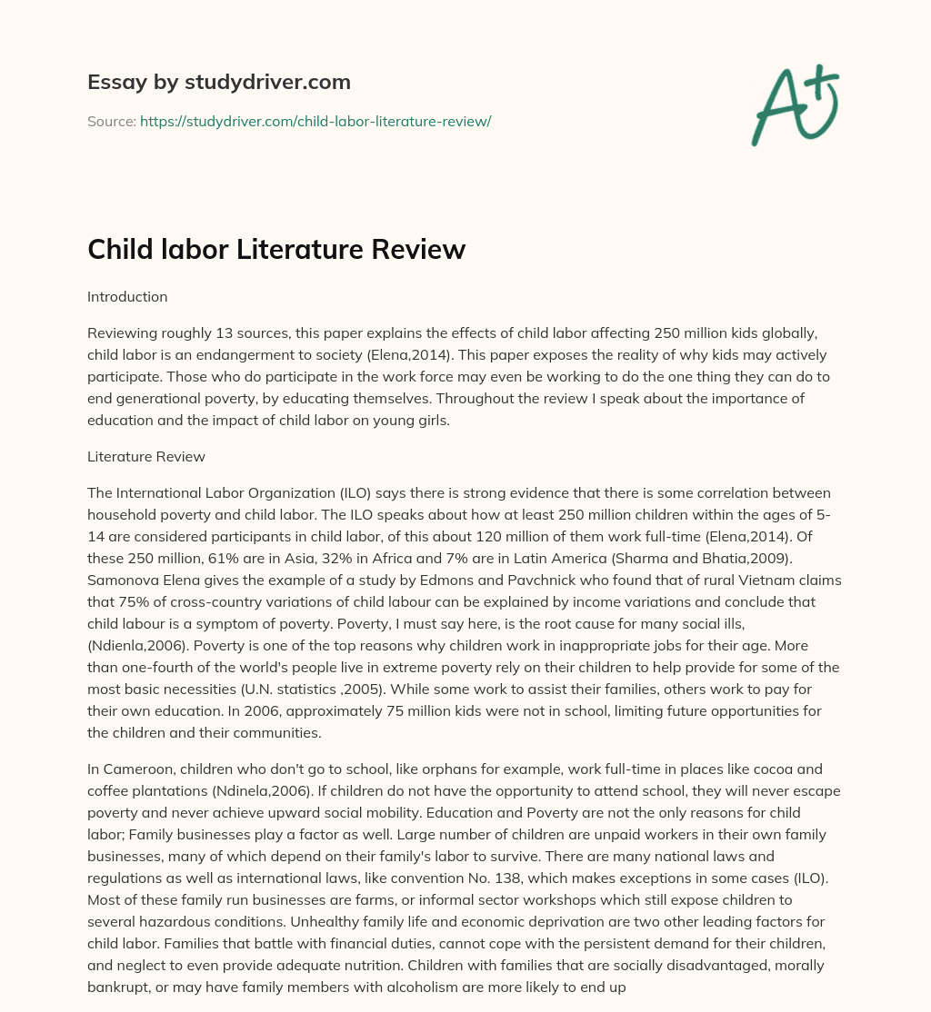 Child Labor Literature Review essay