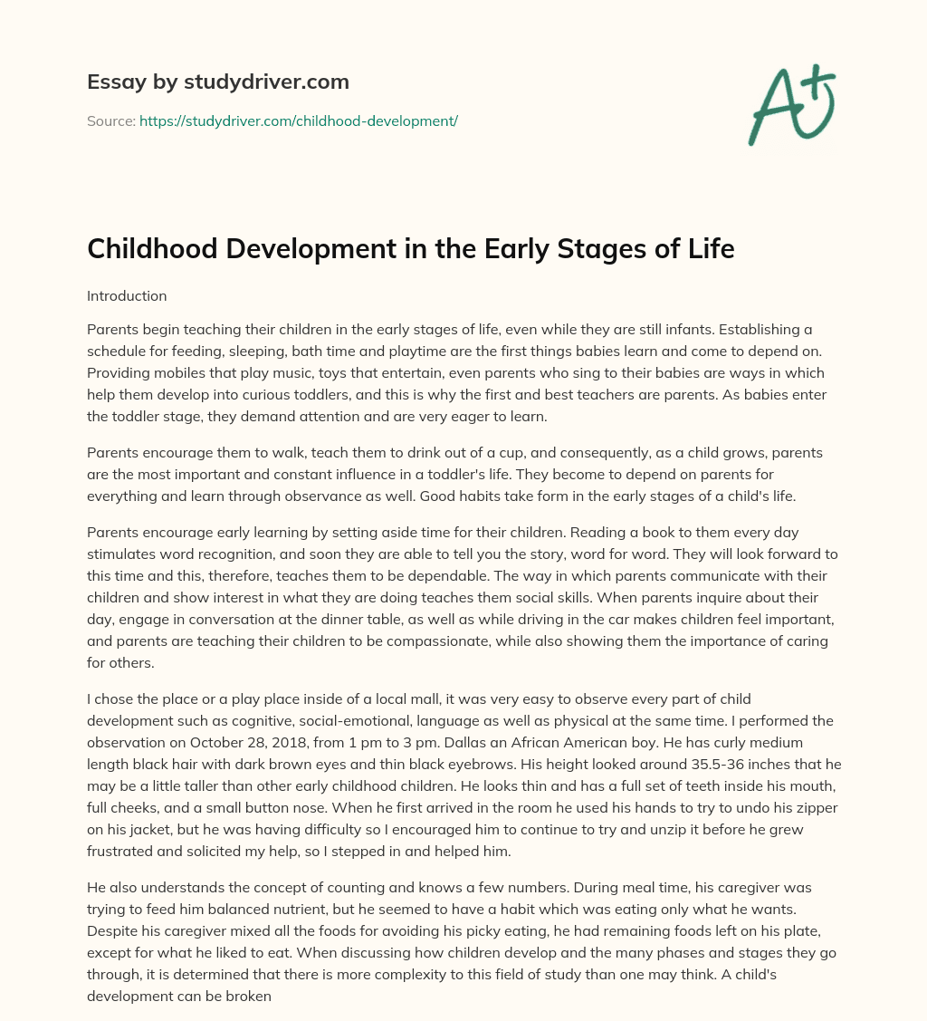 Childhood Development in the Early Stages of Life essay