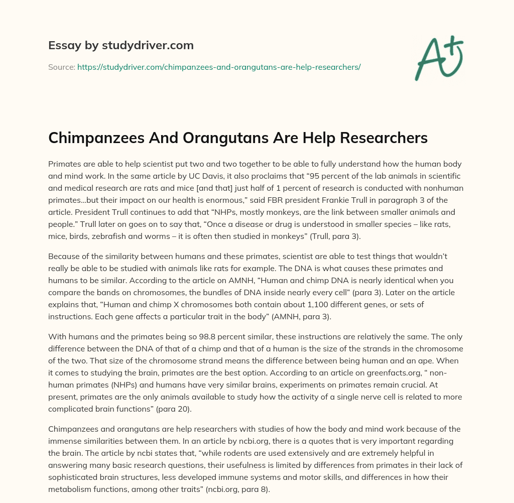 Chimpanzees and Orangutans are Help Researchers essay