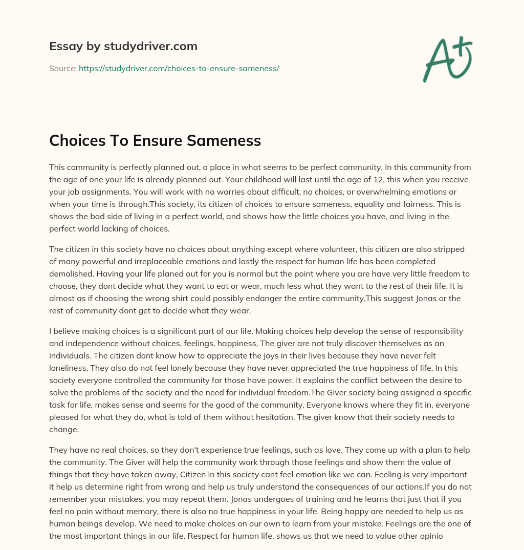 Choices to Ensure Sameness essay