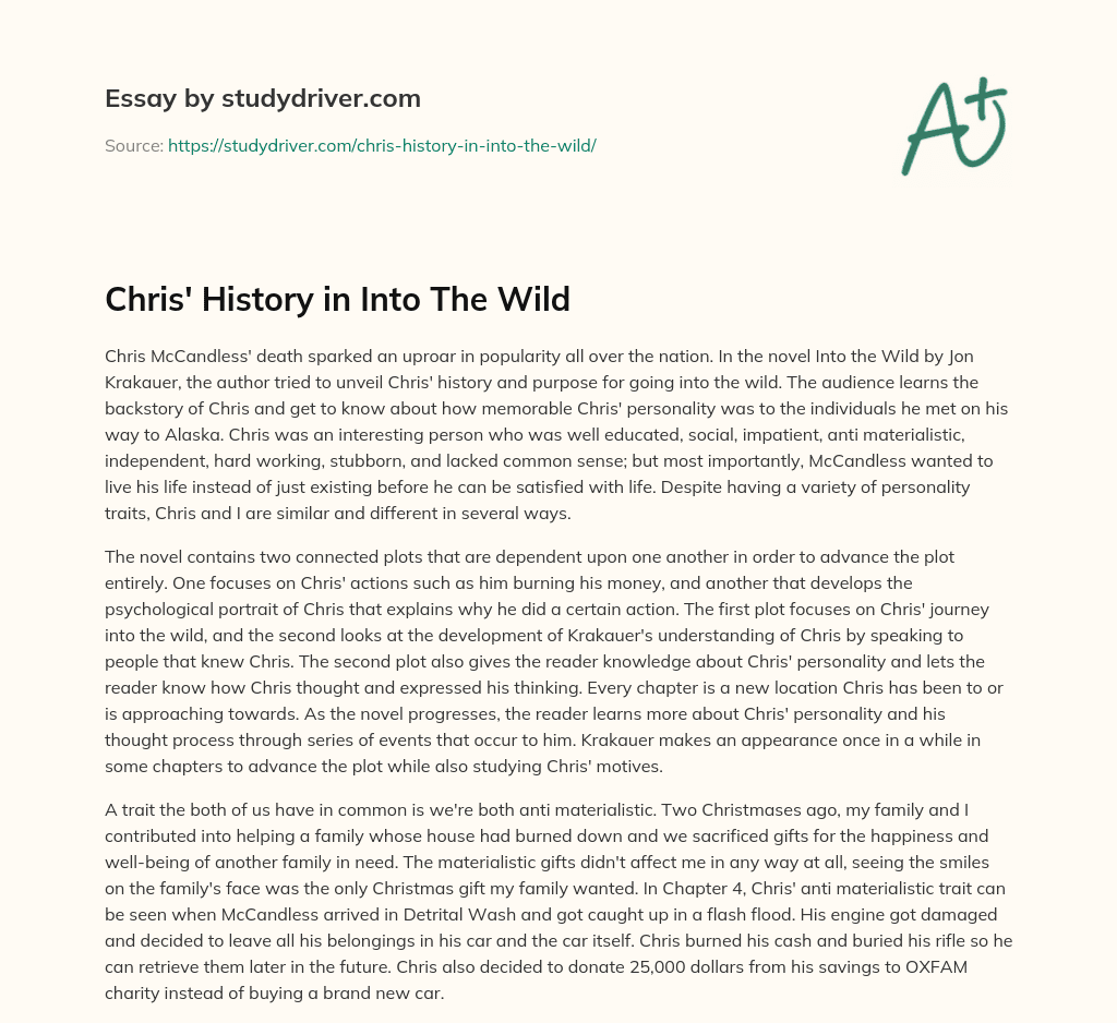 Chris’ History in into the Wild essay