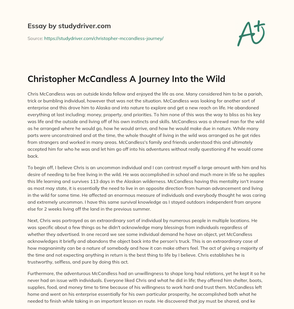 Christopher McCandless a Journey into the Wild essay