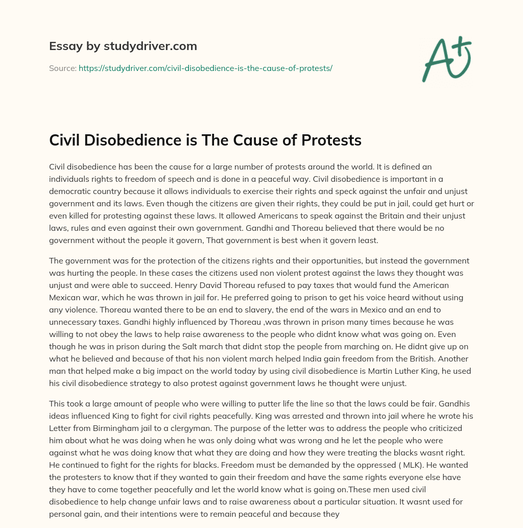 Civil Disobedience is the Cause of Protests essay
