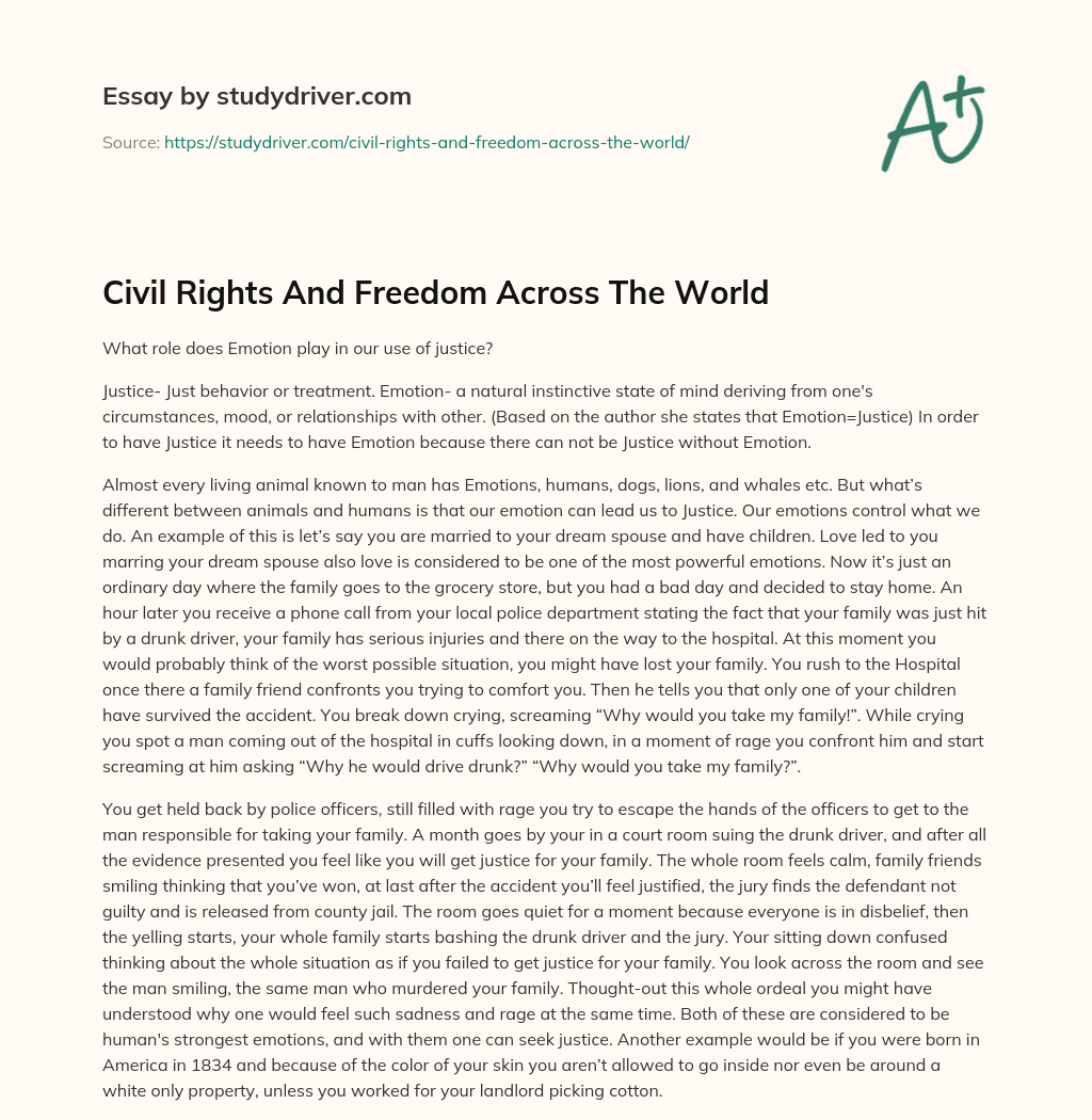 Civil Rights and Freedom Across the World essay