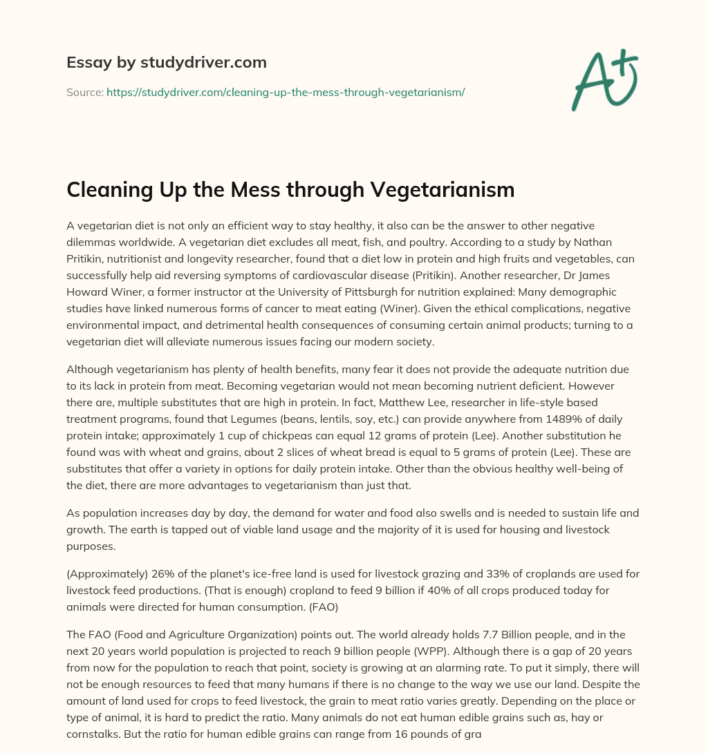 Cleaning up the Mess through Vegetarianism essay
