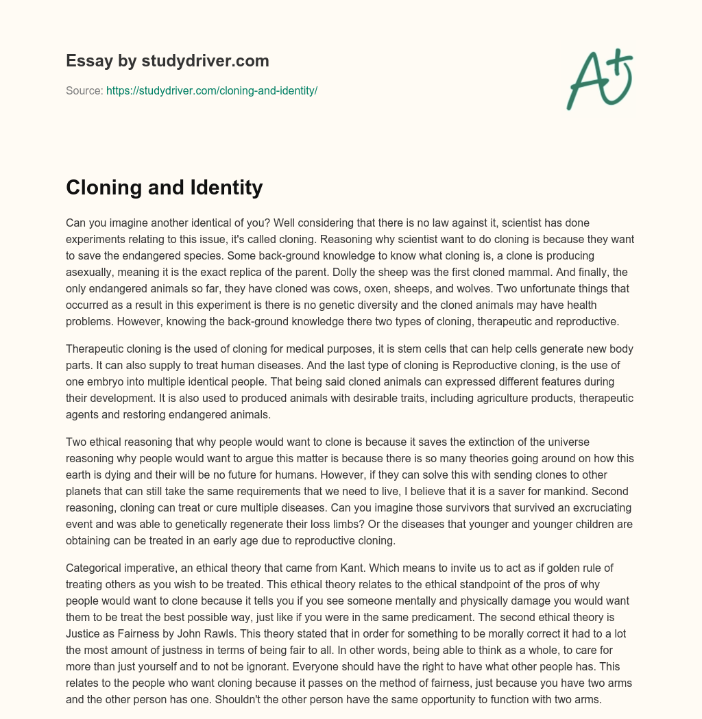 Cloning and Identity essay