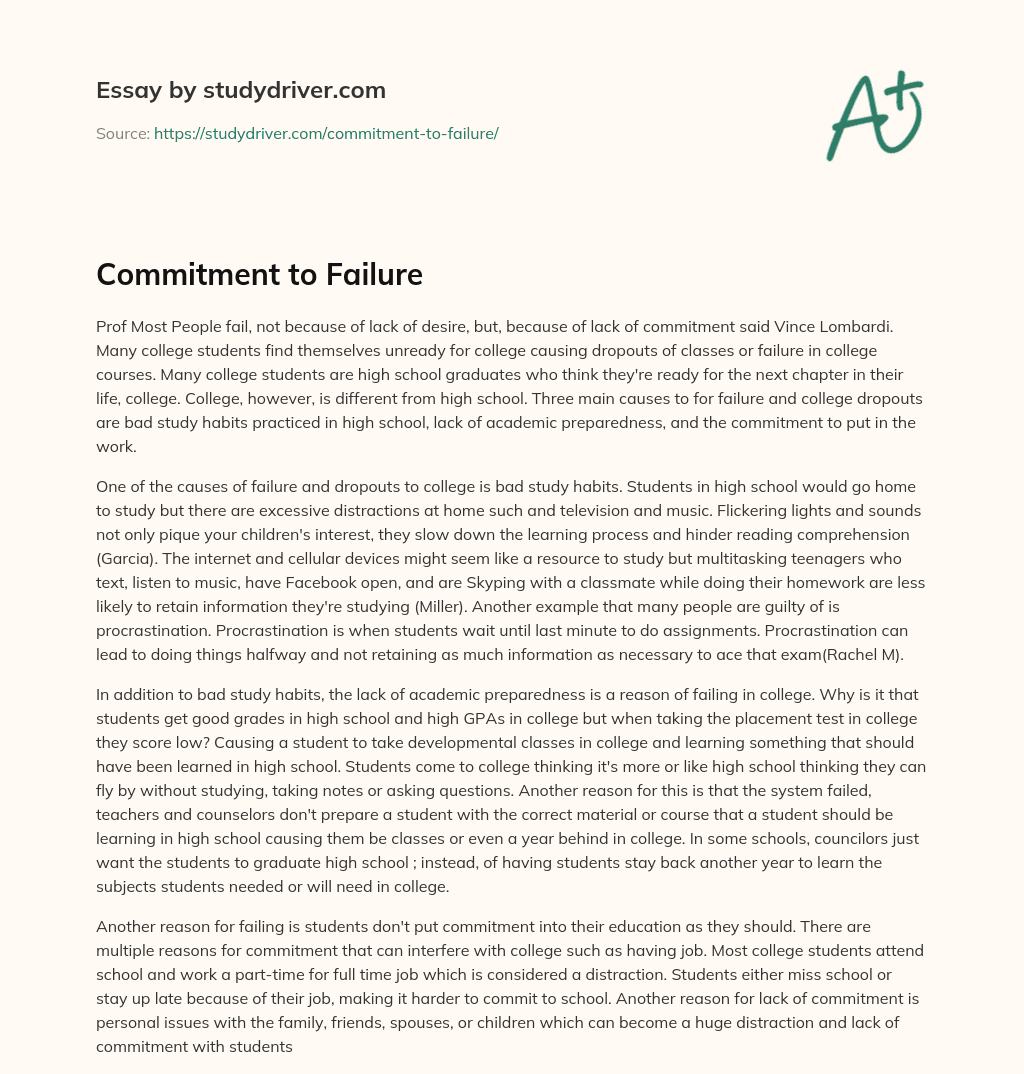 Commitment to Failure essay