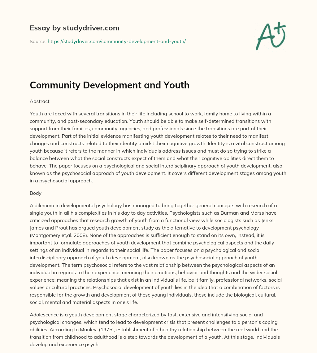 Community Development and Youth essay