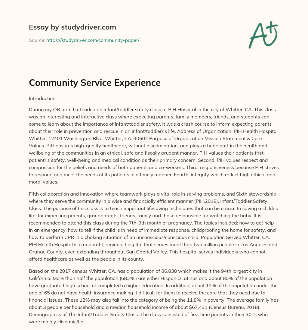 Community Service Experience essay