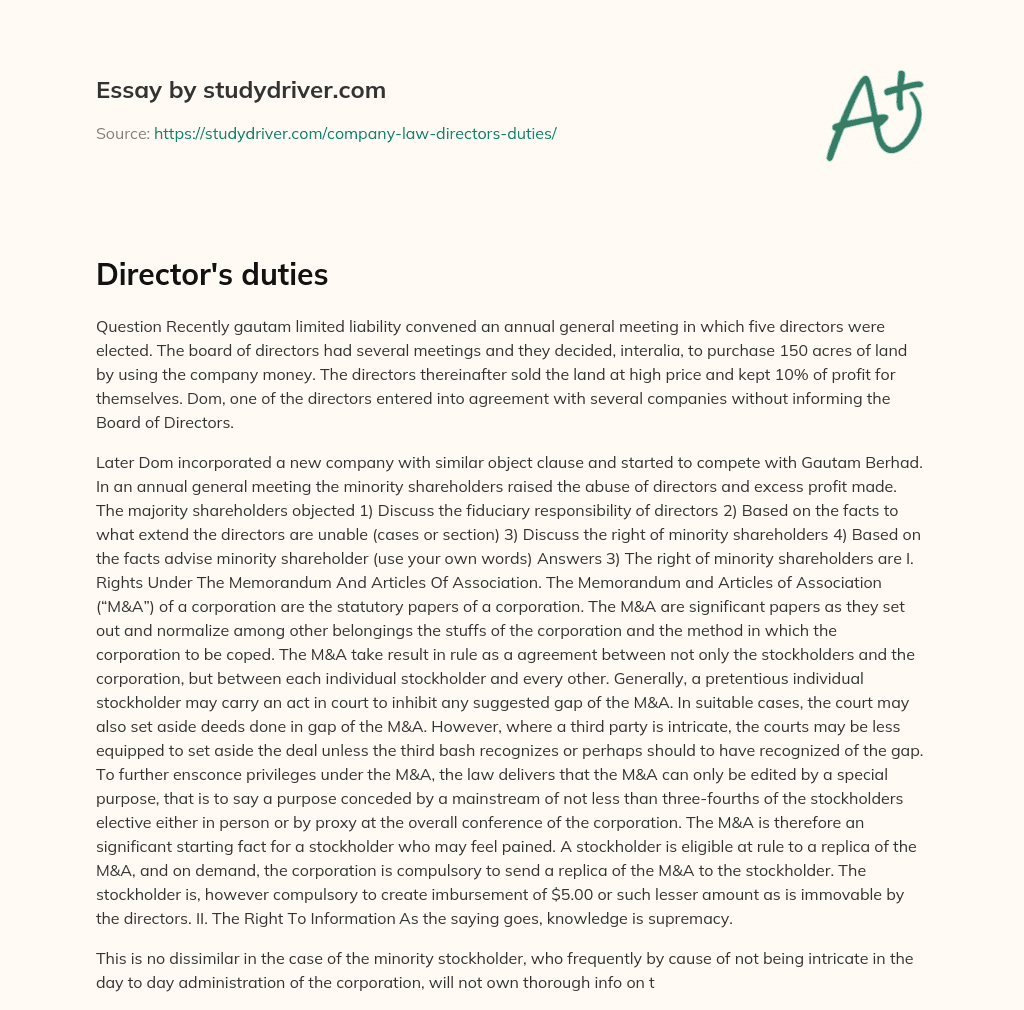 Director’s Duties essay