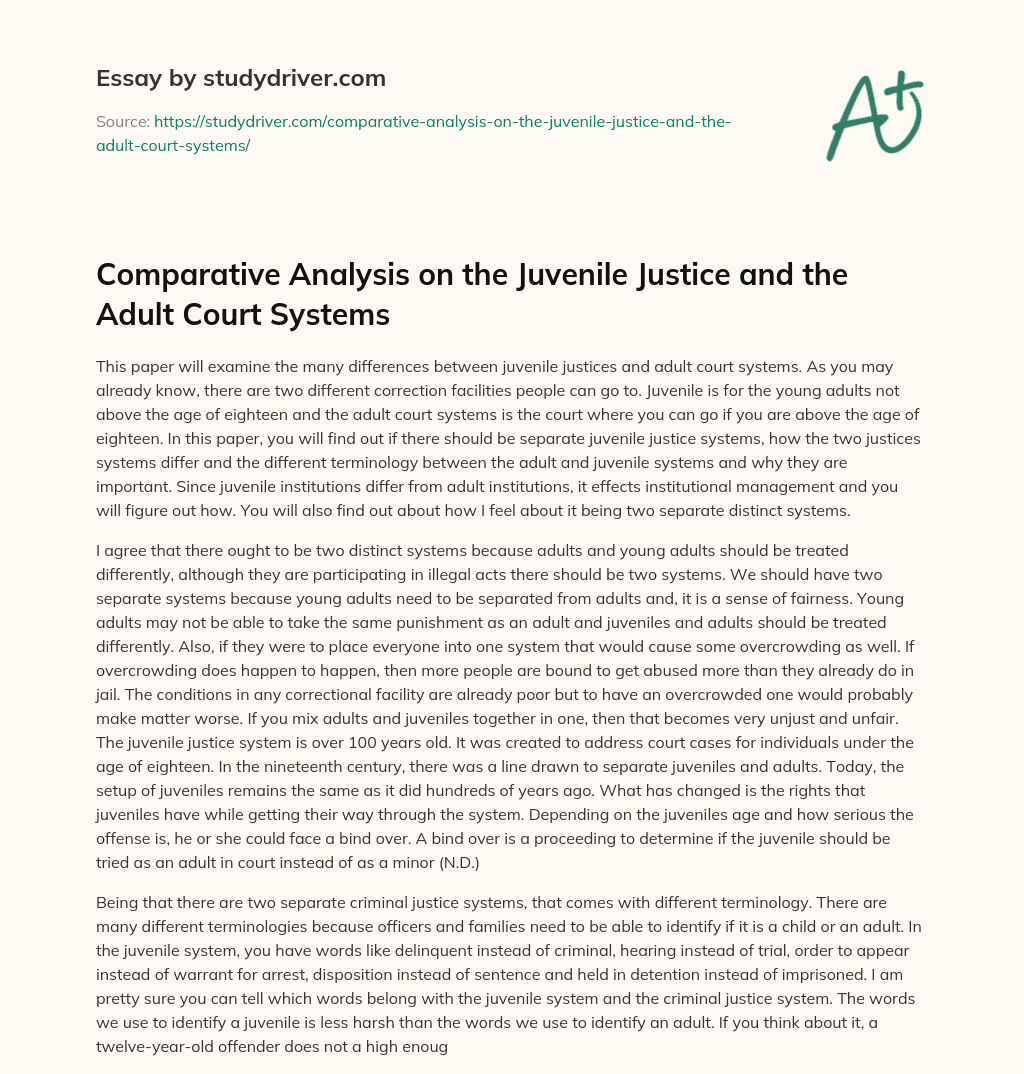Comparative Analysis on the Juvenile Justice and the Adult Court Systems essay
