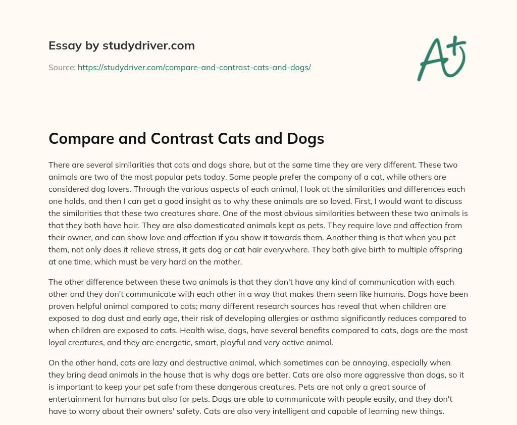 Compare and Contrast Cats and Dogs essay