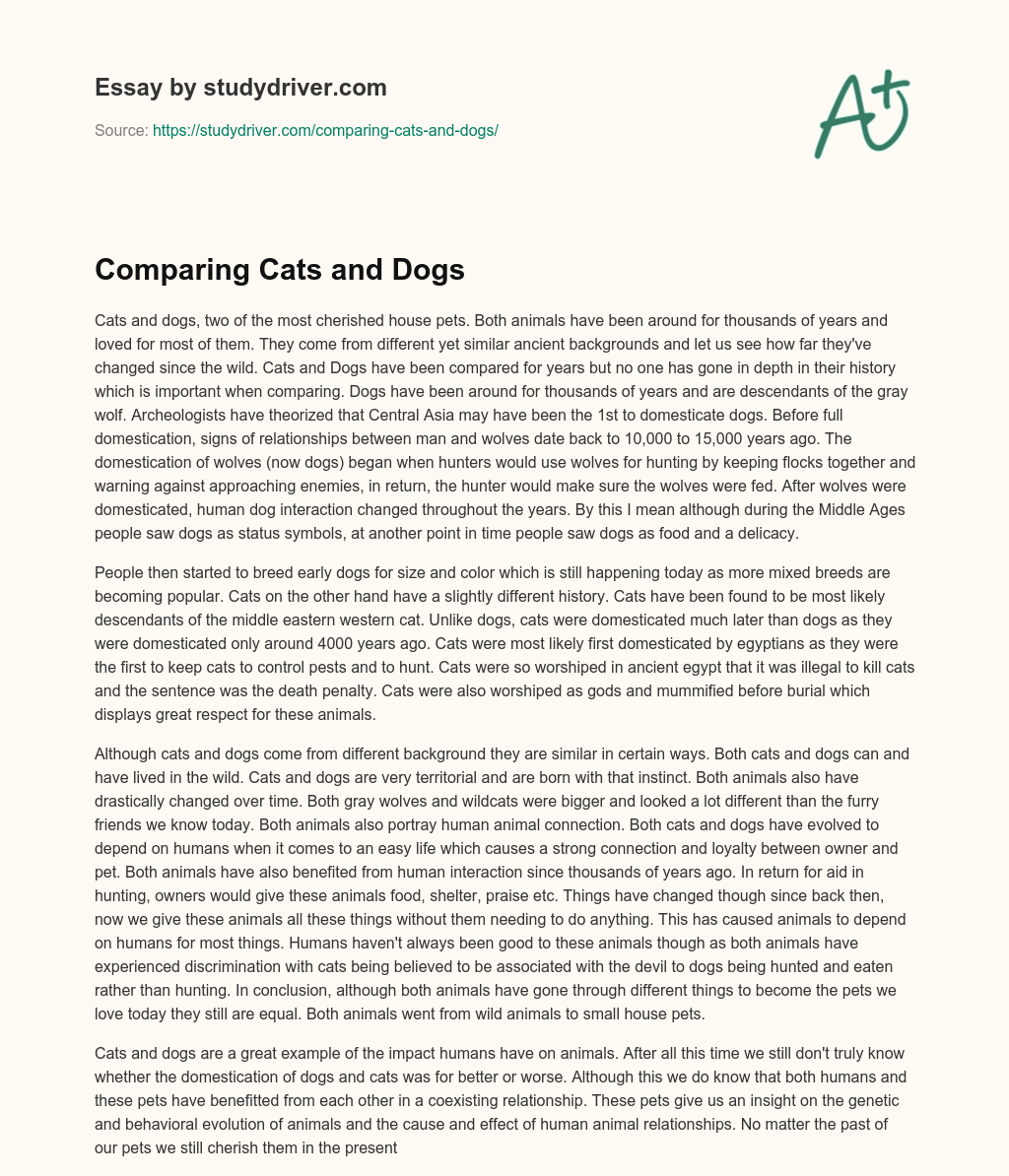 Comparing Cats and Dogs essay