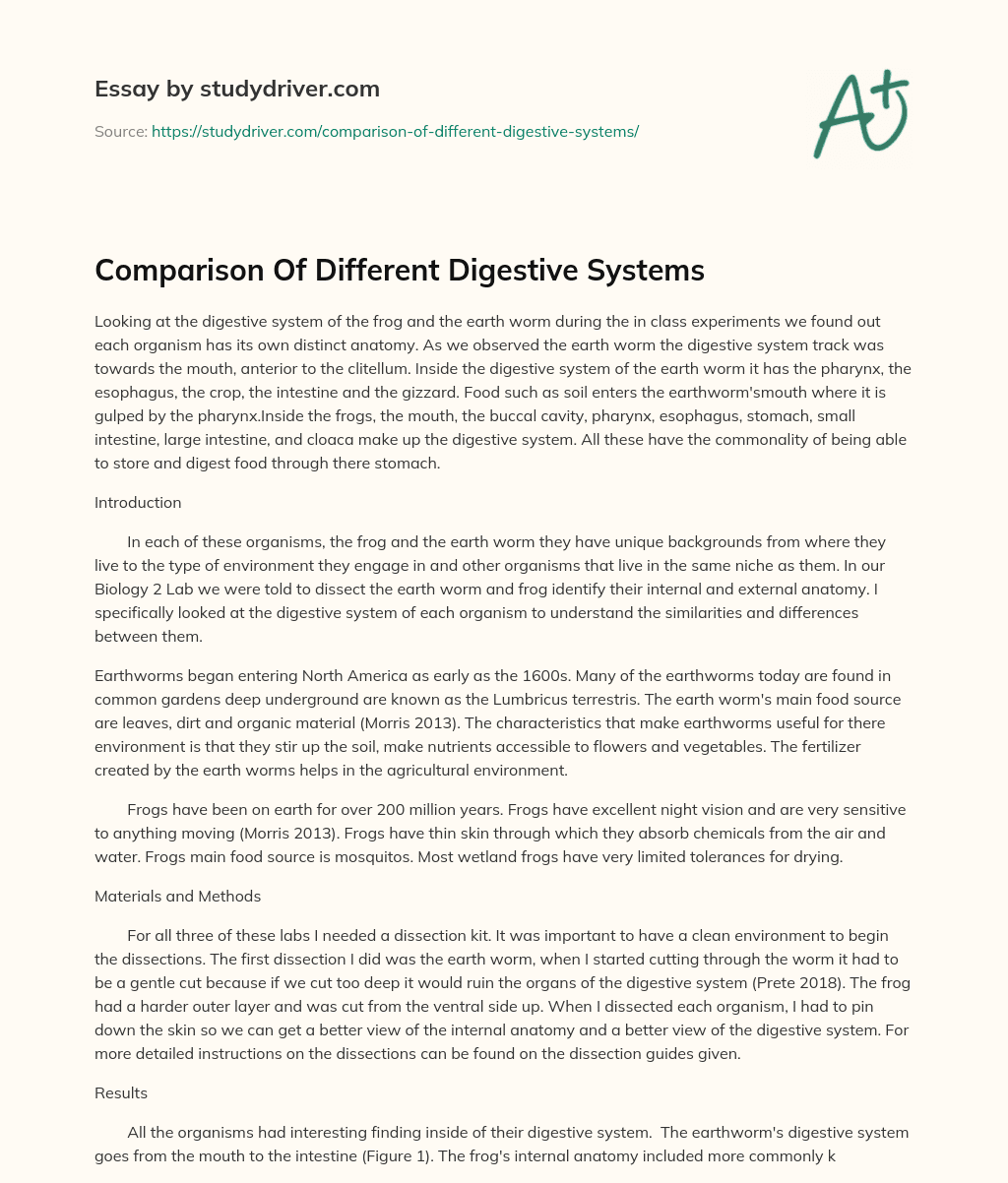 Comparison of Different Digestive Systems essay