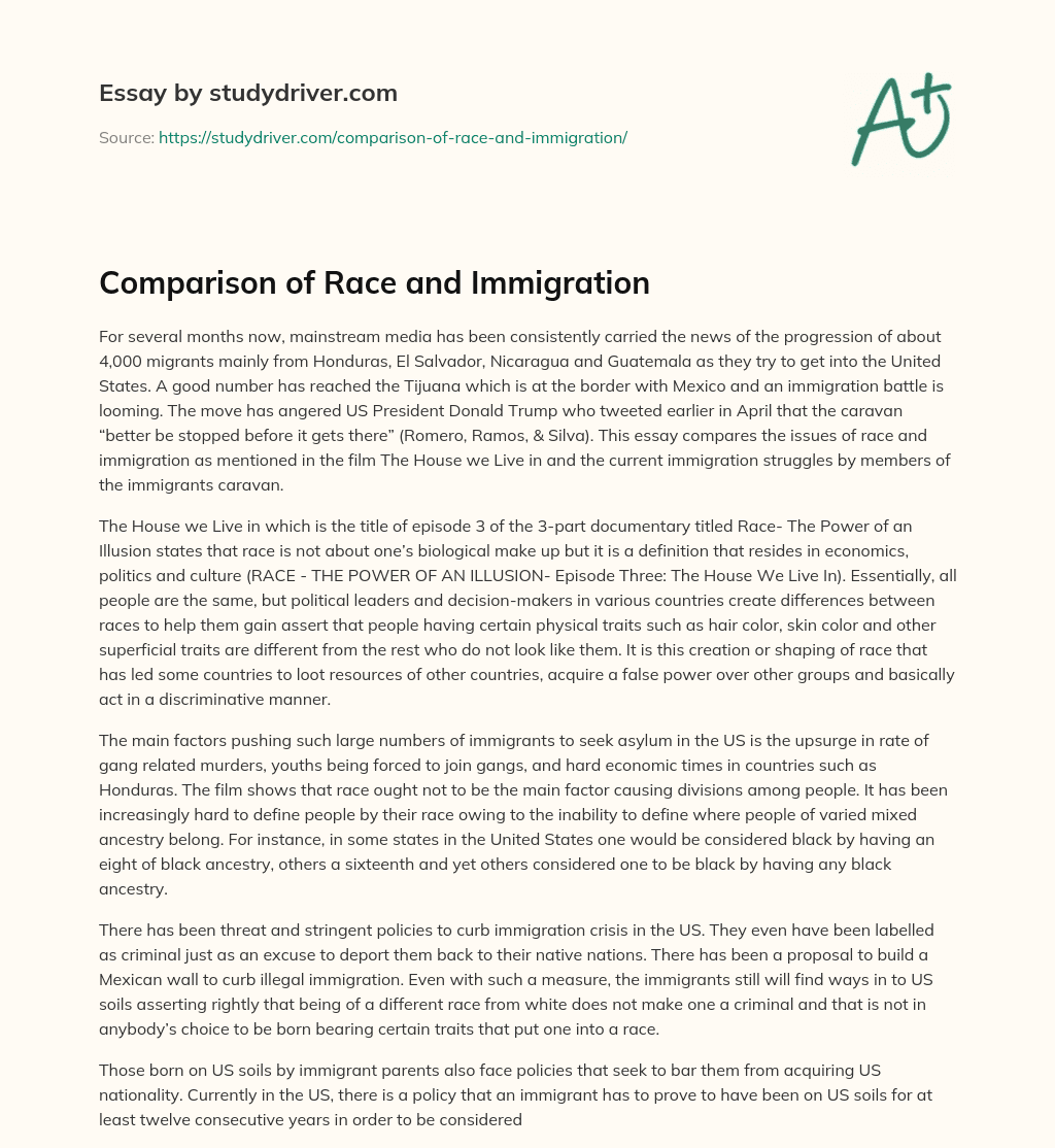 Comparison of Race and Immigration essay