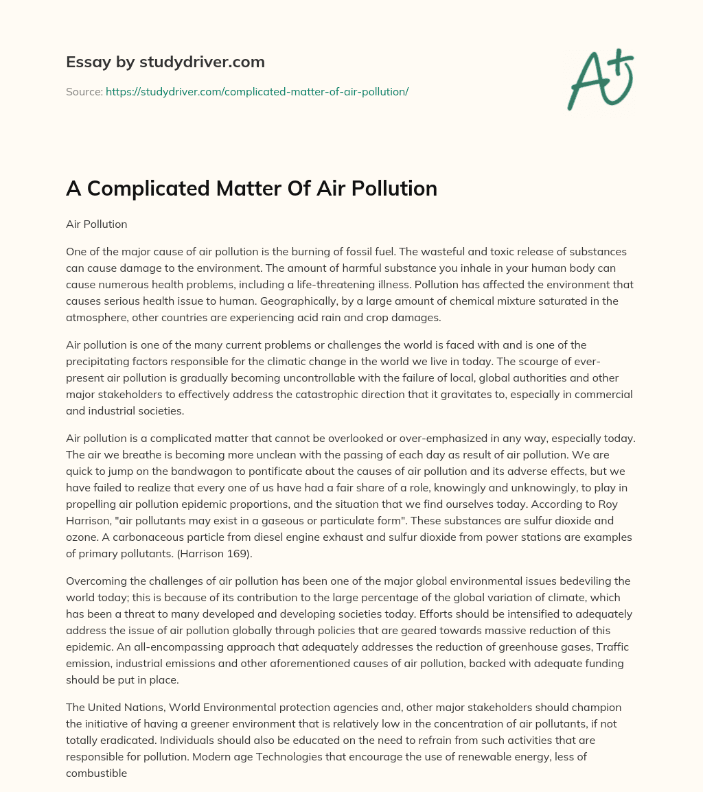 A Complicated Matter of Air Pollution essay