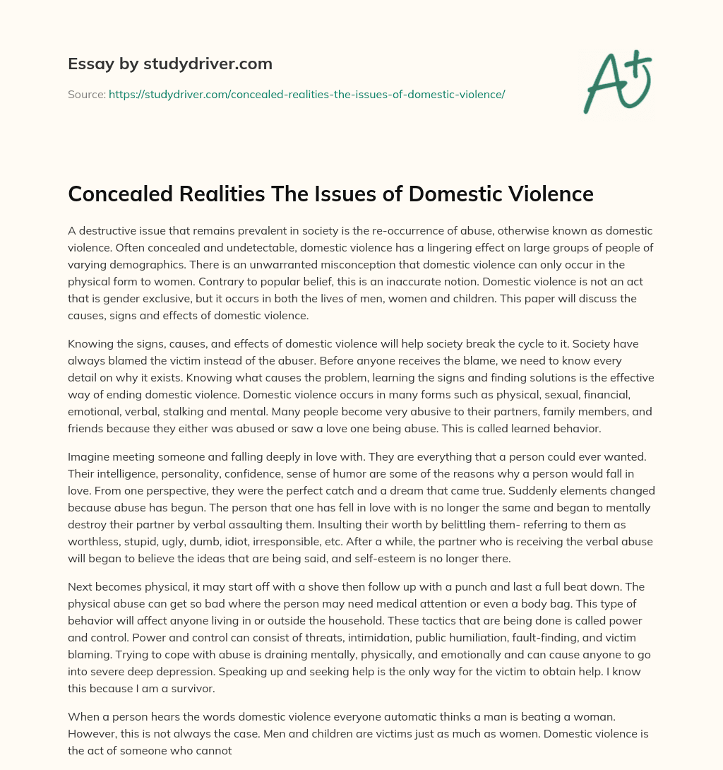 Concealed Realities the Issues of Domestic Violence essay