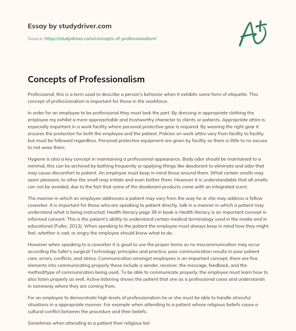 Concepts of Professionalism essay